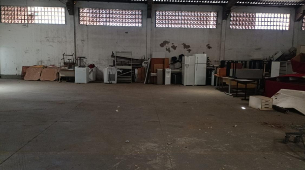 LOTE 31: