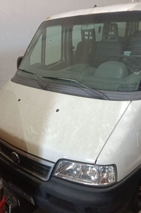 LOTE 10: