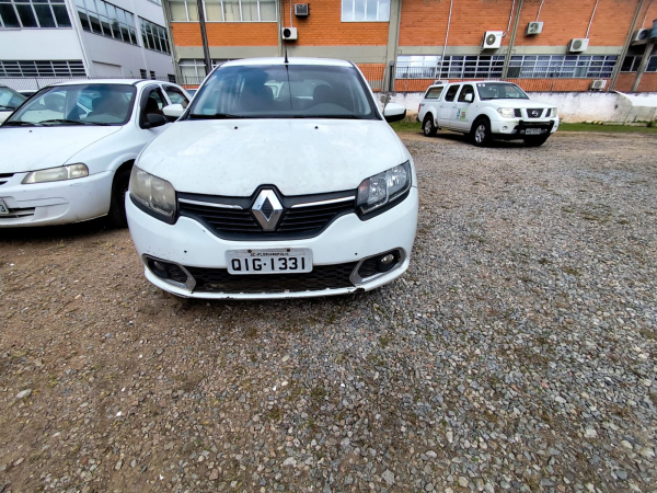LOTE 10: