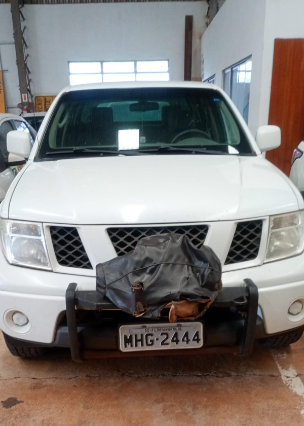 LOTE 49: