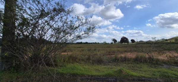 LOTE 02:
