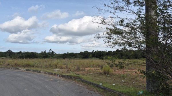 LOTE 03: