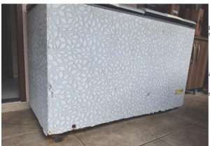 FÓRUM DE TROMBUDO CENTRAL